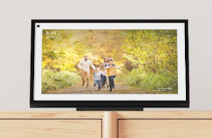 echo show 15